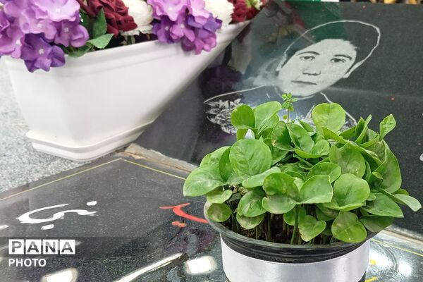 حال و هوای اولین پنجشنبه سال ۱۴۰۵ در گلزار شهدا