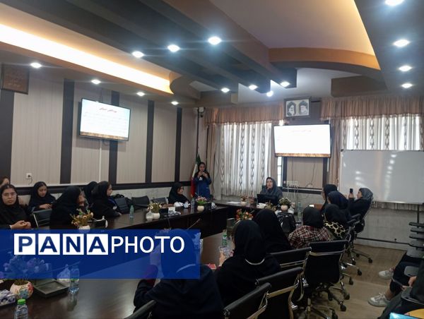 توانمندسازی همیار مشاوران مدارس ناحیه ۳ شیراز