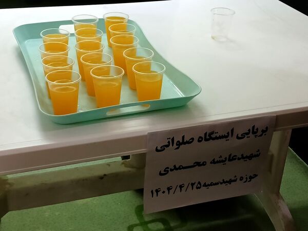 گرامیداشت ۲۸ زن شهیده در کامیاران؛ ترویج ایثار و فداکاری