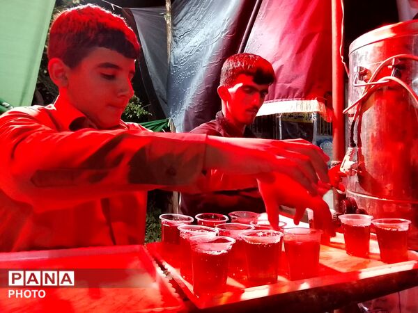 مراسم عزاداری شهادت اباعبدالله الحسین در صدوبیستمن شب از اجتماعات  