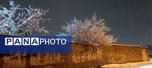 شبی برفی در نیشابور 