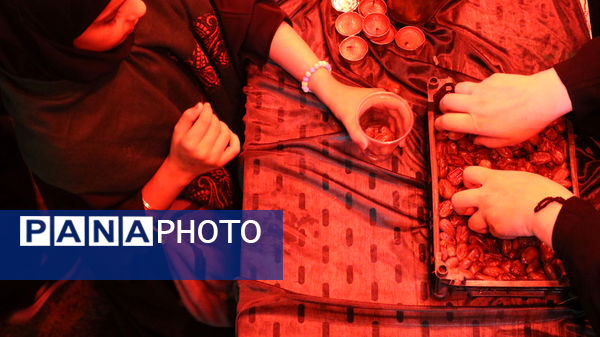 جلوه‌های خدمت‌رسانی به عاشقان اباعبدالله(ع)