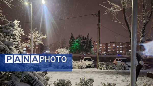 پارک‌های شهر مشهد در آغوش برف