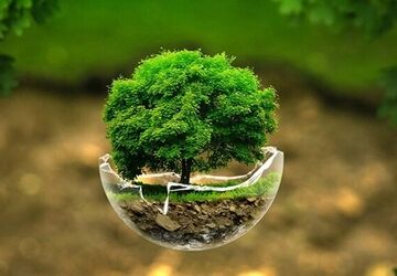 روز جهانی عدم استفاده از کیسه‌های پلاستیکی