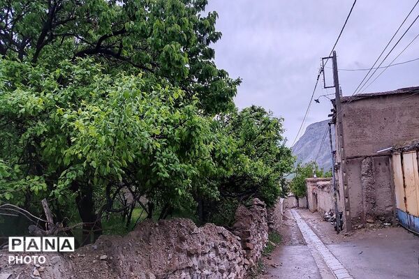 حال و هوای شهر بار بعد از بارش زیبای باران 