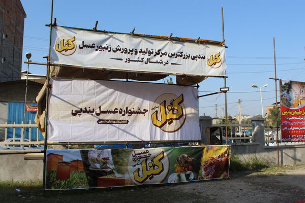 جشنواره عسل کَنِل بندپی شرقی