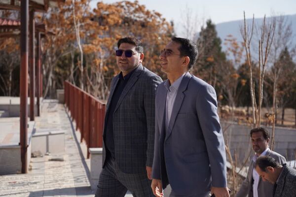 طرح تمشک در لرستان به ایستگاه پایانی رسید