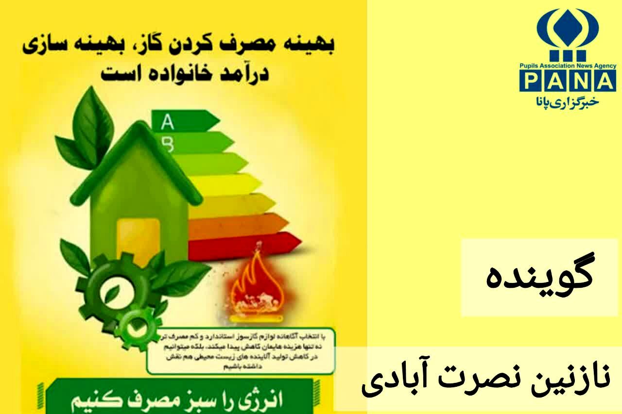 افزایش مصرف گاز در روز های سرد سال، زنگ هشدار برای مدیریت انرژی است