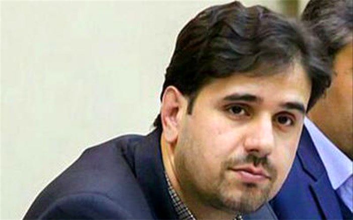 شورای اطلاع رسانی می توانند بسیاری از مشکلات دولت را رفع کنند