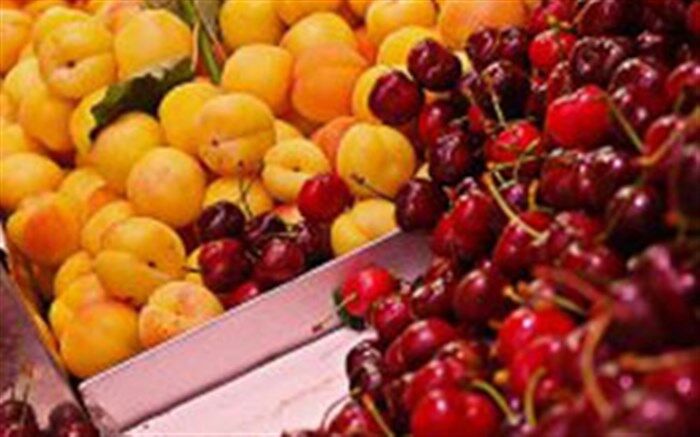 مشارکت تاجران روسی در صادرات زردآلو و گیلاس آذربایجان غربی