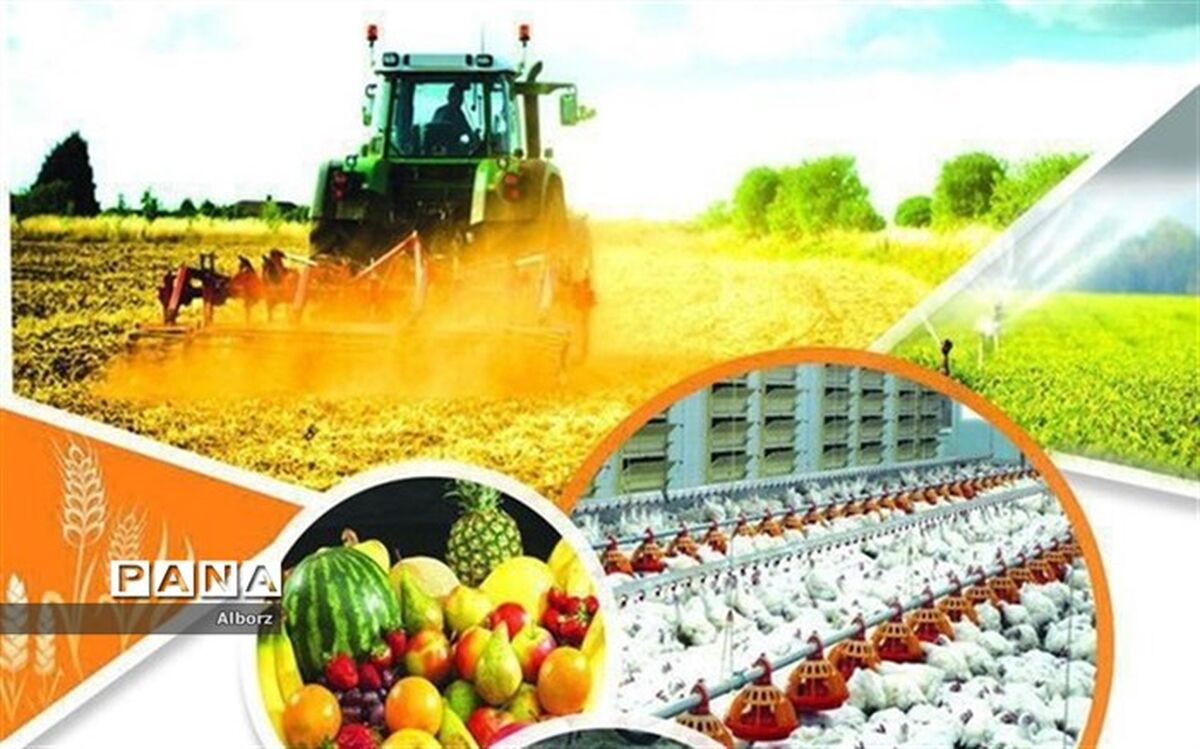 اعلام سیاستهای مدون صنایع تبدیلی و تکمیلی بخش کشاورزی استان البرز در سال ۹۷