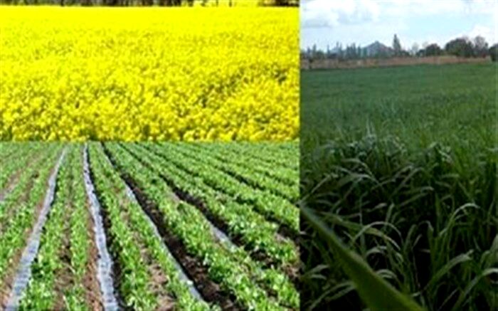 بیش از ۱۶۰ طرح در اردبیل آماده واگذاری به سرمایه‌گذاران است