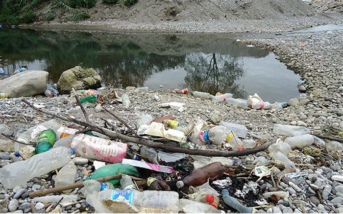 خطر جدیِ سونامی ریزپلاستیک‌ها برای همه جانداران