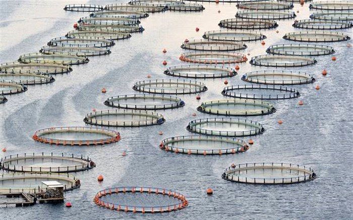 استاندار خوزستان:  برخی مواقع آب و برق خوزستان باعث عدم بهبود فضای کسب و کار در استان می شود