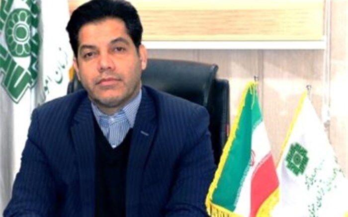 سهم 22 درصدی کارکنان دولت از در آمد مالیاتی استان