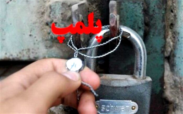 واحدهای  عرضه غیرمجاز پرندگان زنده در کرج پلمپ شد