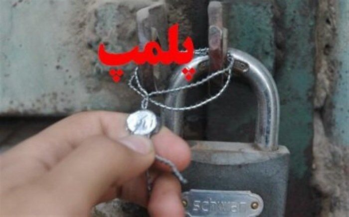 واحدهای  عرضه غیرمجاز پرندگان زنده در کرج پلمپ شد