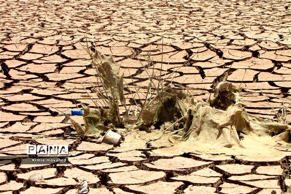 آخرین تلاش برای زندگی