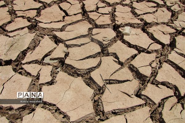 آخرین تلاش برای زندگی