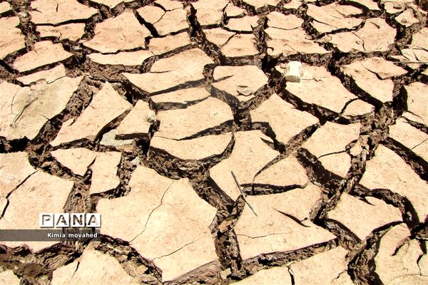 آخرین تلاش برای زندگی