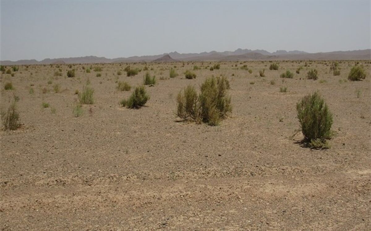طرح ترسیب کربن در 9 شهرستان خراسان جنوبی اجرا می شود