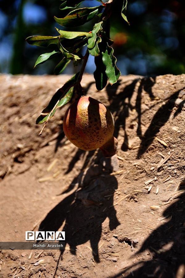 یاقوت سرخ شهرستان های خوسف خراسان جنوبی