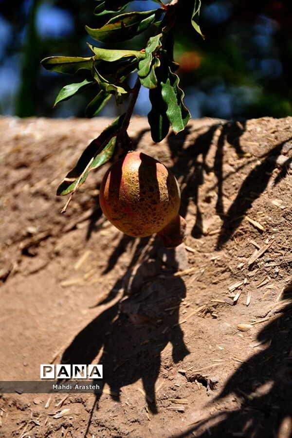 یاقوت سرخ شهرستان های خوسف خراسان جنوبی