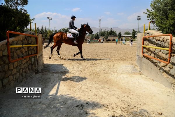 مسابقات پرش با اسب