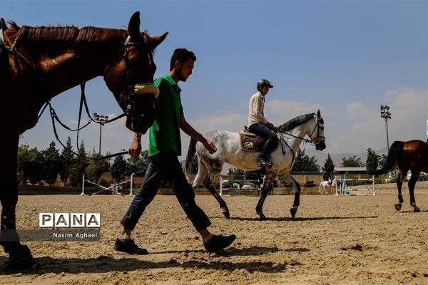 مسابقات پرش با اسب