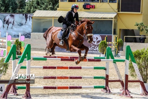 مسابقات پرش با اسب