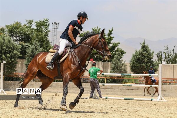 مسابقات پرش با اسب