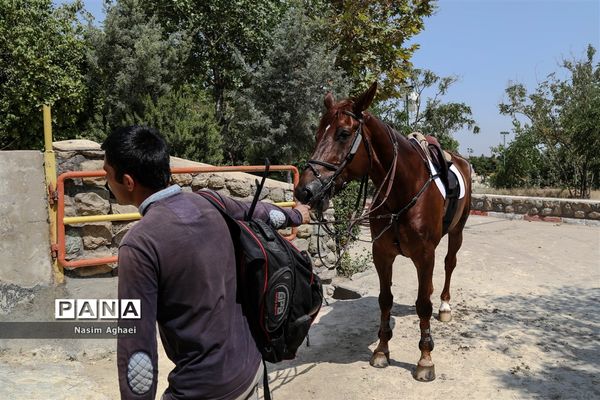 مسابقات پرش با اسب