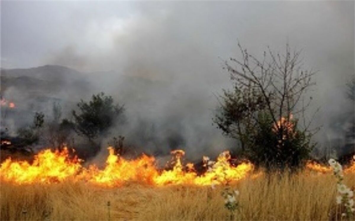 خطر وقوع حریق در جنگل‌ها و مراتع آذربایجان غربی
