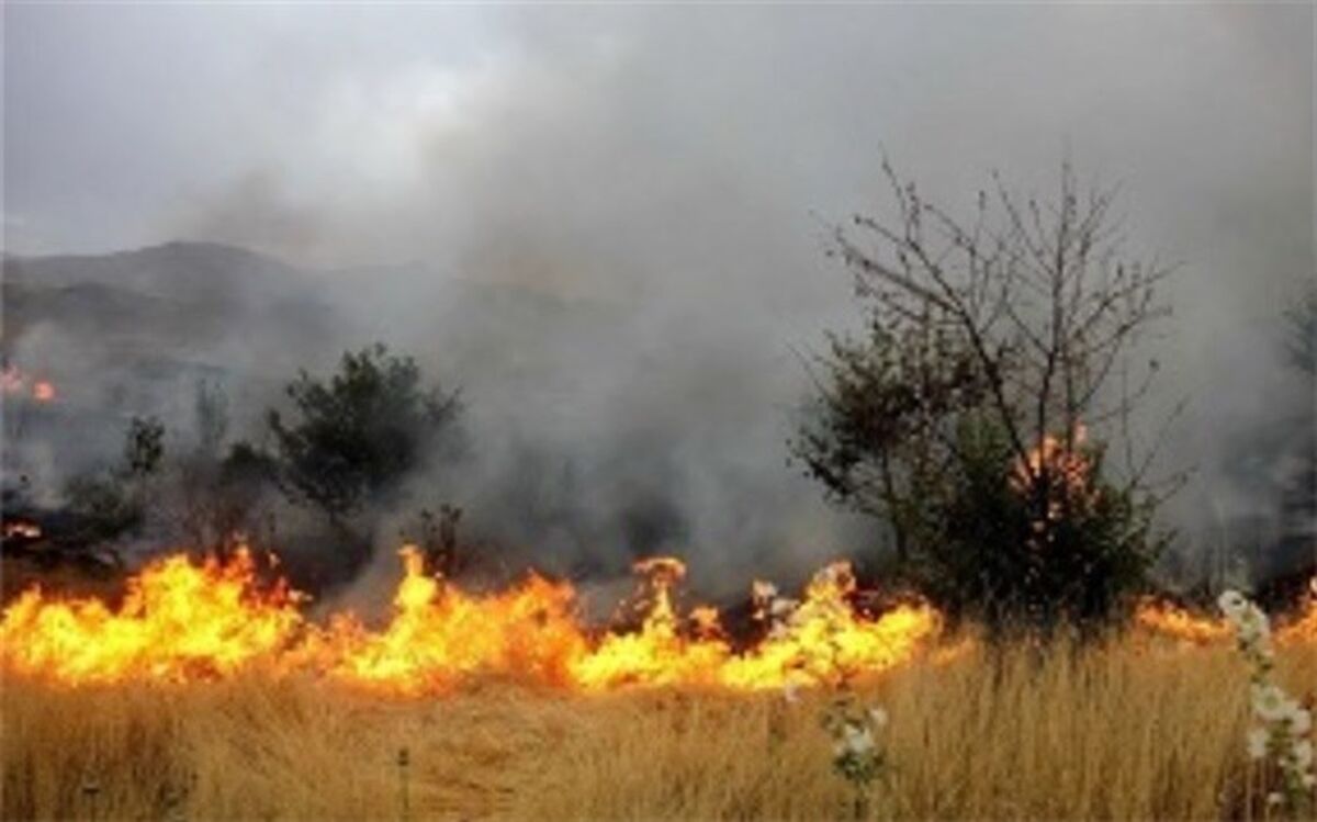 خطر وقوع حریق در جنگل‌ها و مراتع آذربایجان غربی