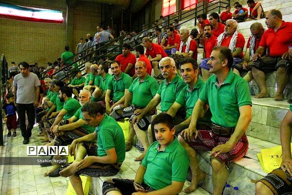 آیین کشوری ترویج فرهنگ پهلوانی