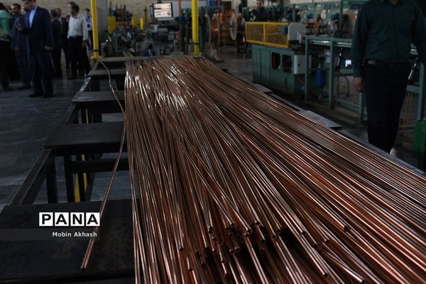 بازدید استاندار آذربایجان شرقی از واحد های تولیدی و صنعتی شهرک سلیمی