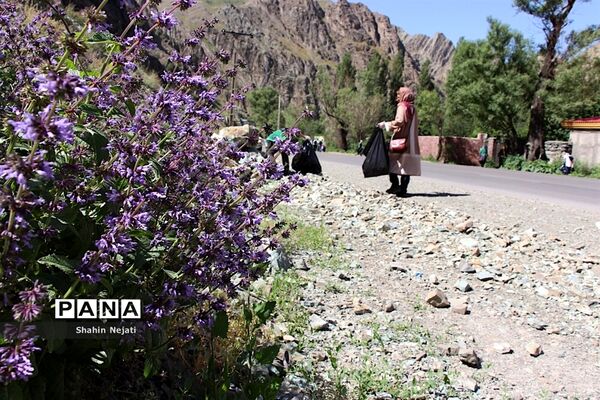 اجرای طرح پاکداشت طبیعت در جاده کرج-چالوس