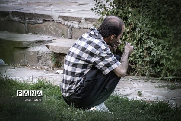 قمار زندگی