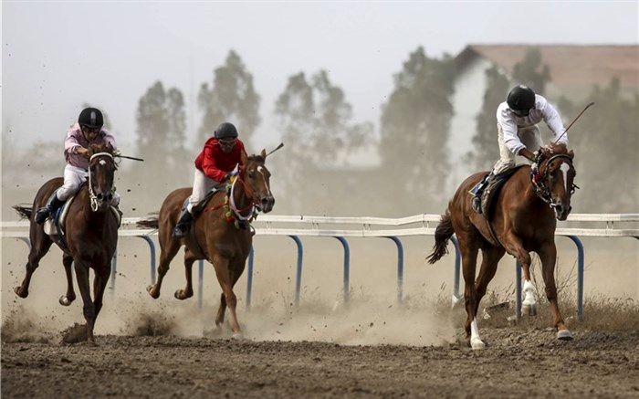 هفته سوم مسابقات اسبدوانی تابستانه کشور در بندرترکمن برگزار شد