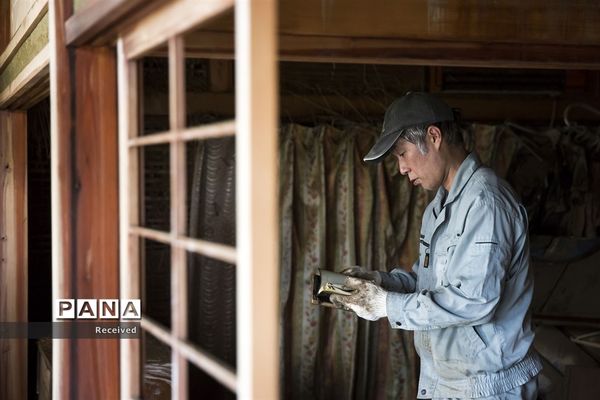 سیل در ژاپن