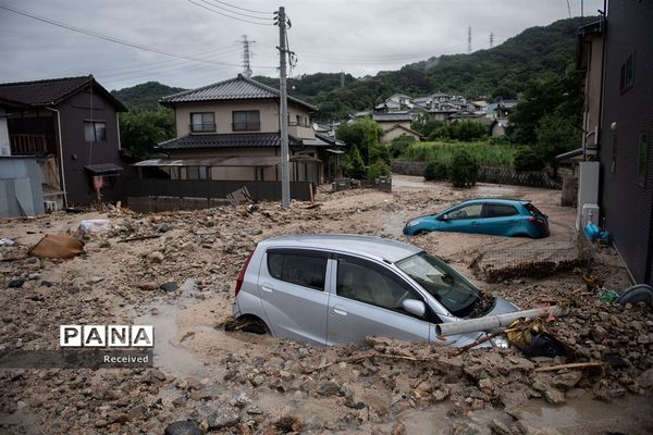 سیل در ژاپن