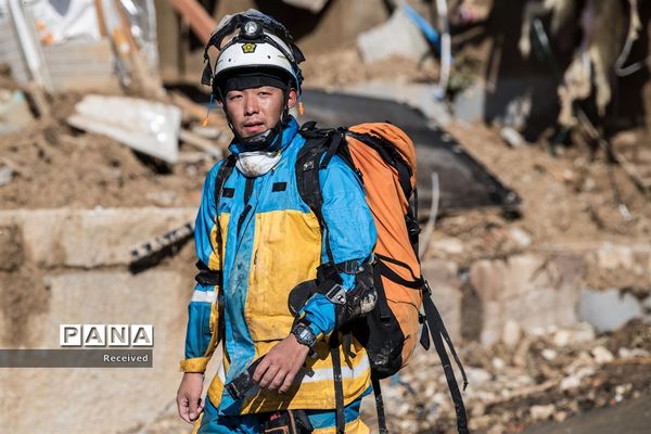 سیل در ژاپن