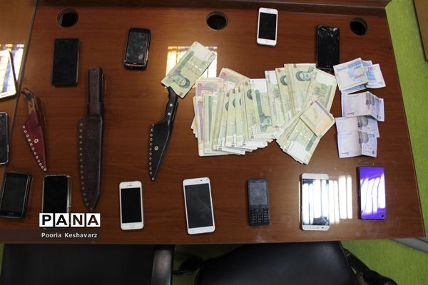 نشست خبری فرمانده نیروی انتظامی استان فارس