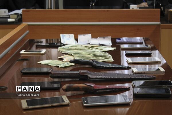 نشست خبری فرمانده نیروی انتظامی استان فارس