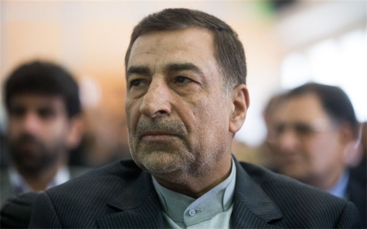 وزیر دادگستری عضو هیئت رئیسه فدراسیون شنا شد