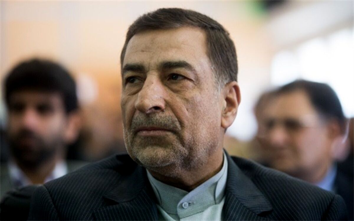 وزیر دادگستری عضو هیئت رئیسه فدراسیون شنا شد