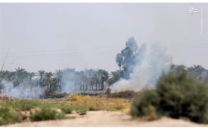 تصاویر/ آتش‌سوزی در تالاب هورالعظیم