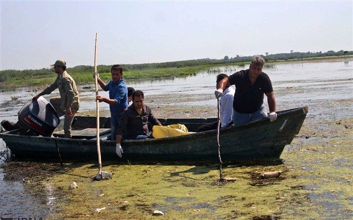 ابلاغ دستور العمل اجرایی مدیریت بیماری آنفلوانزای فوق حاد پرندگان