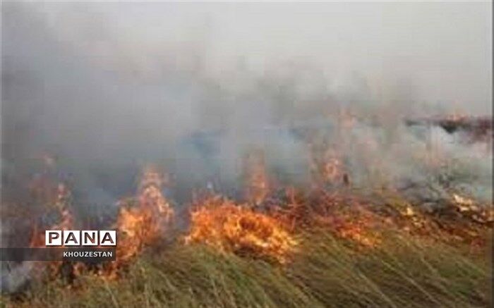 آتش‌سوزی هورالعظیم  ادارات و بانک‌های حمیدیه، هویزه و سوسنگرد را تعطیل کرد