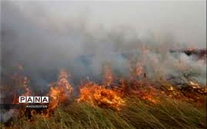 آتش‌سوزی هورالعظیم  ادارات و بانک‌های حمیدیه، هویزه و سوسنگرد را تعطیل کرد